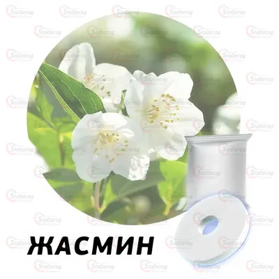 Ароматизатор запаска сфера