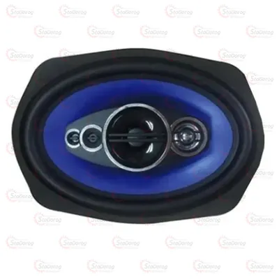 Колонки овальні Celsior CS-6905P 120W 6905P 2