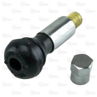 Вентиль Безкамерних Шин R13-R16 хром. TR414C Сосок