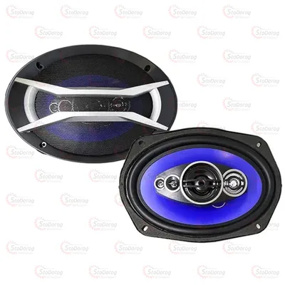 Колонки овальні Celsior CS-6905P 120W 6905P