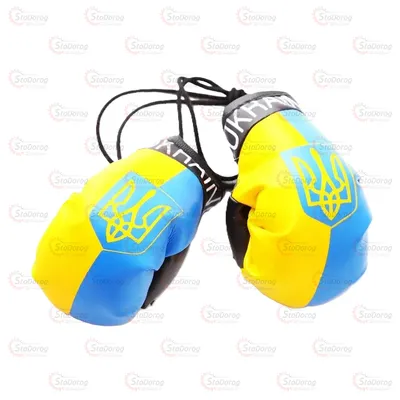 Перчатки бокс на дзеркало великі Ukraine 2шт