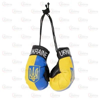 Перчатки бокс на дзеркало великі Ukraine 2шт 2