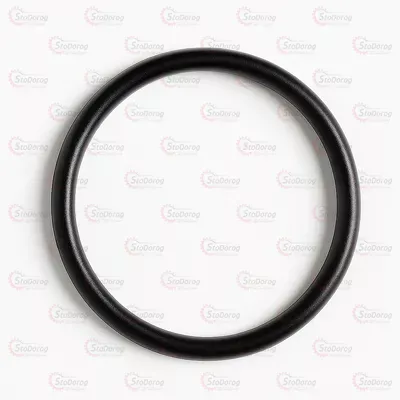 Гумове кільце EXL 005-008-19 105-00149