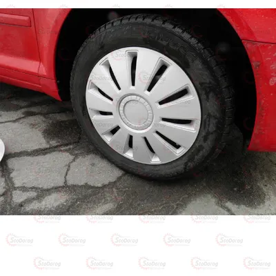 Ковпаки 16 Україна REX Silver 34672 2