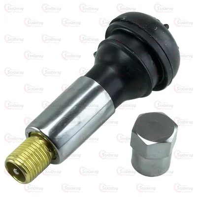 Вентиль Безкамерних Шин R13-R16 хром. TR414C Сосок 2