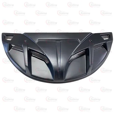 Повітрозабірник Капота БІЗОН 2